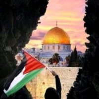 Abd al Rahman Rshdan Email