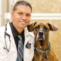 Joseph Bisignano Email & Phone Number