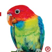 Sun Hing Foods, Inc. Employee Anson Lin's profile photo