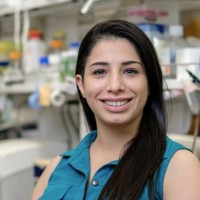 Vanqua Bio Employee Haneen Ammouri's profile photo