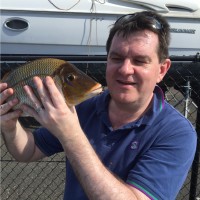 Service Works Global Employee Paul McCarthy's profile photo