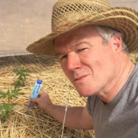 Decibel Farms, Inc. Employee H. Wilson's profile photo