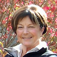 Cynthia Carr