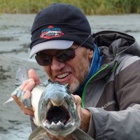 Todd Robertson