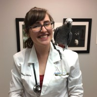 Canadian Food Inspection Agency Employee Adrienne Johnston's profile photo