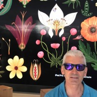 Manager Focus Employee Juan María Insunza's profile photo