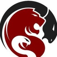 Chimera Leads Email