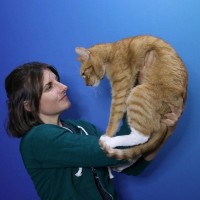 Alex Yarosh Email & Phone Number