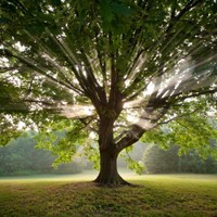 Palm Springs Unified School District Employee Kimberly Ballard's profile photo