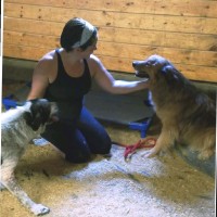 CRETESTAR Employee Tessi Mohr's profile photo