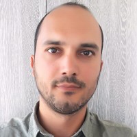 Florin Burcea Email