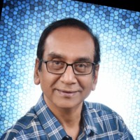 Innovation ScaleUp Advisors Pvt Ltd Employee Sundara Nagarajan's profile photo