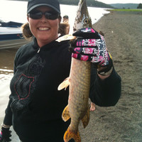 Amy Fleming Email & Phone Number