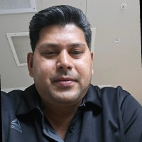 David Pal Email