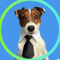 Propeller Plan Employee Ferruccio Propeller's profile photo