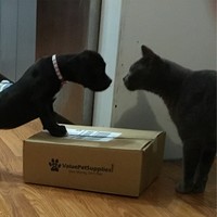 Sundowner Trailers Employee Liza Jones's profile photo