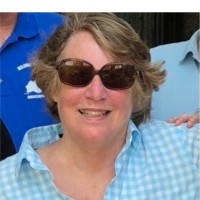 Webster Groves School District Employee Ann Edwards's profile photo