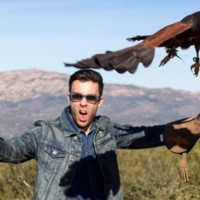 Stephen Rippin Email & Phone Number