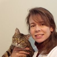 Kristine Collins