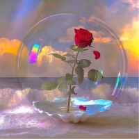 Truedata Employee Joanna Liu's profile photo