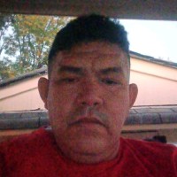 Andi Employee Perwis Torrealba's profile photo