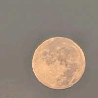 Medtronic Employee Amber Torres's profile photo