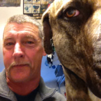 Schenectady Hardware & Electric Employee Thomas Melillo's profile photo