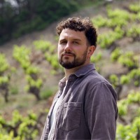 Domaine LAFAGE Employee Nicolas Laville's profile photo