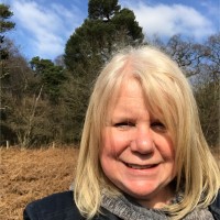 Sandwell Children's Trust Employee Carol Singleton's profile photo