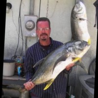 Apple Inc. Employee Tim Krebs's profile photo