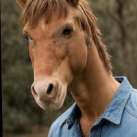 Cantina Employee Brock Nelson's profile photo