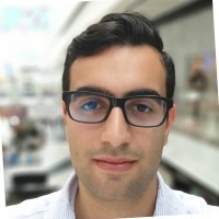 Cory Levy Email