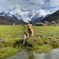 JUST Employee Josh Tetrick's profile photo