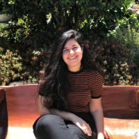 Pazu Games Employee Dekel Shevach's profile photo