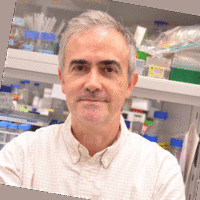 Angel R. Nebreda Email