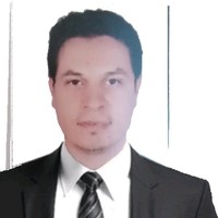 Amr Khalil Email