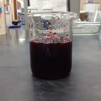 SI Group Employee Christopher Suttle's profile photo