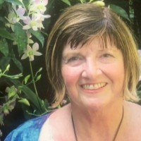 Ursuline Academy of Dallas Employee Susan Bauer's profile photo