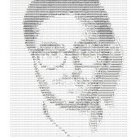 IMC Trading Employee Fabio Grillo's profile photo
