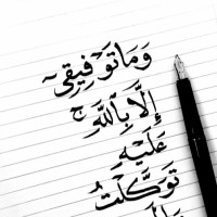 Yasmeen Ahmed Email