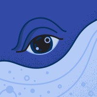 Sspacia Employee Ronak Panchal's profile photo