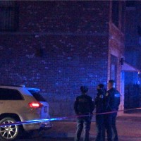 Stringr Employee Joseph Carrillo's profile photo