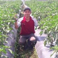 Netafim Employee Wawan Darmawan's profile photo