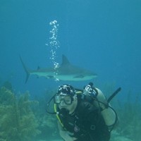 Duke Energy Corporation Employee Bryan Fourman's profile photo