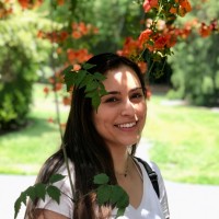 Project Design Consultants Employee Jennifer Maynard's profile photo