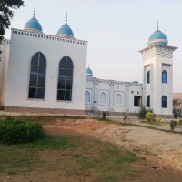 Maryam Akbar Email
