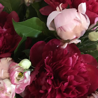 CIS Consulting Employee Sandie Rochet's profile photo