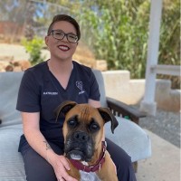 Veterinary Dental Specialties & Oral Surgery (VDS) Employee Kathleen Sanderson's profile photo