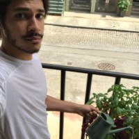 MIGUEL ANTOINNE Employee Anthony Ferrigno's profile photo