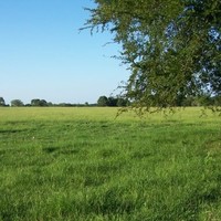Absco Employee Sue Tschoepe's profile photo